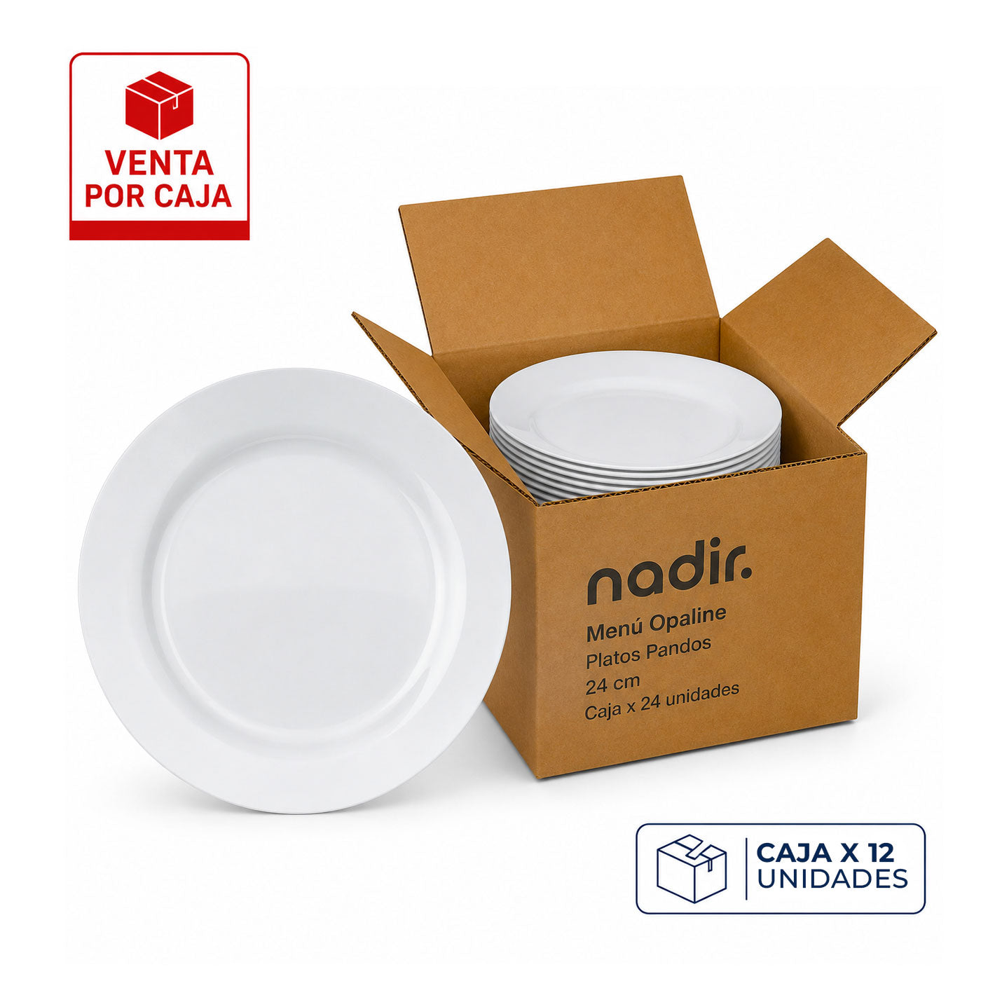 Caja x 24 Platos Pandos 24 cm Menú Opaline / Nadir - imagen 1