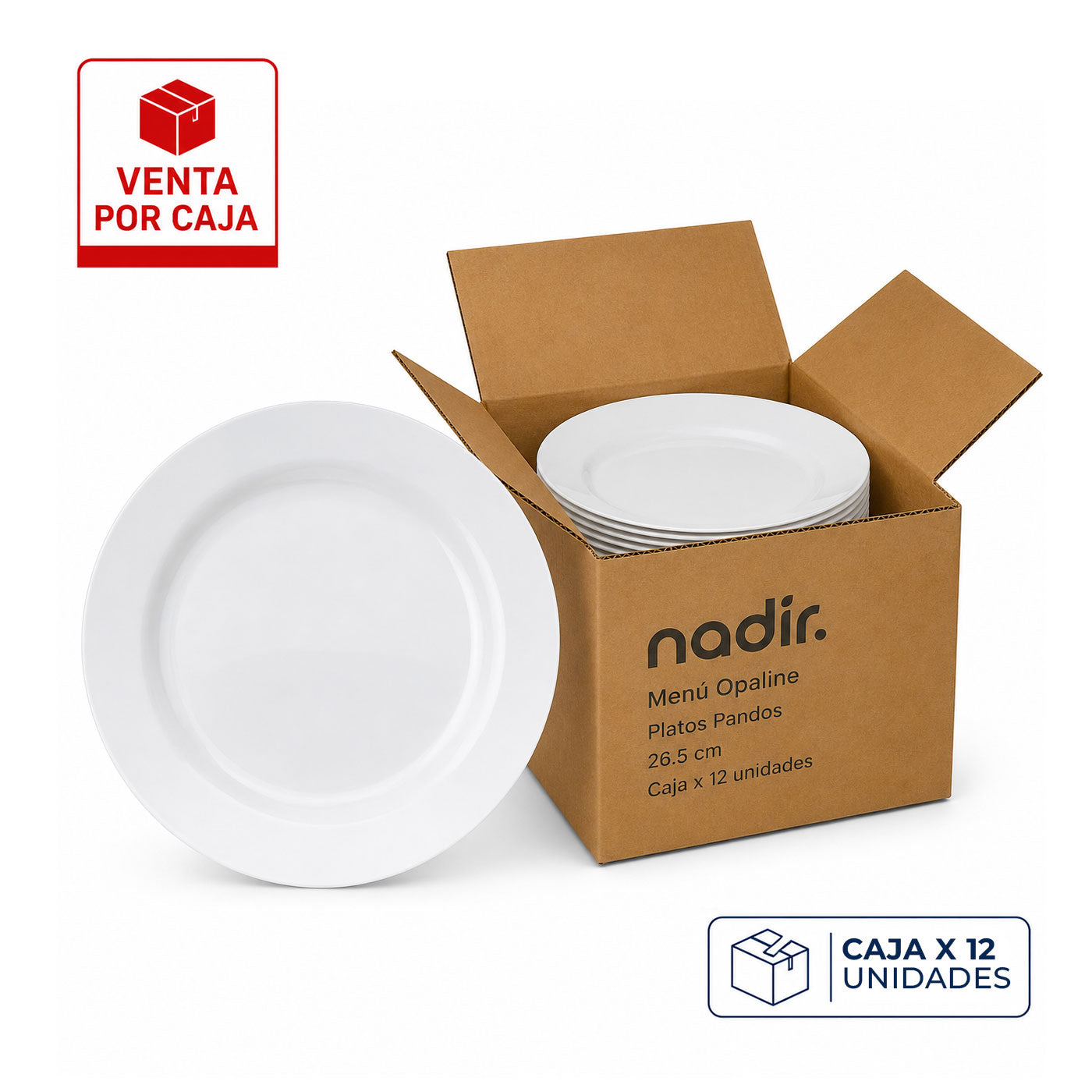 Caja x 12 Platos Pandos 26.5 cm Menú Opaline / Nadir - imagen 1