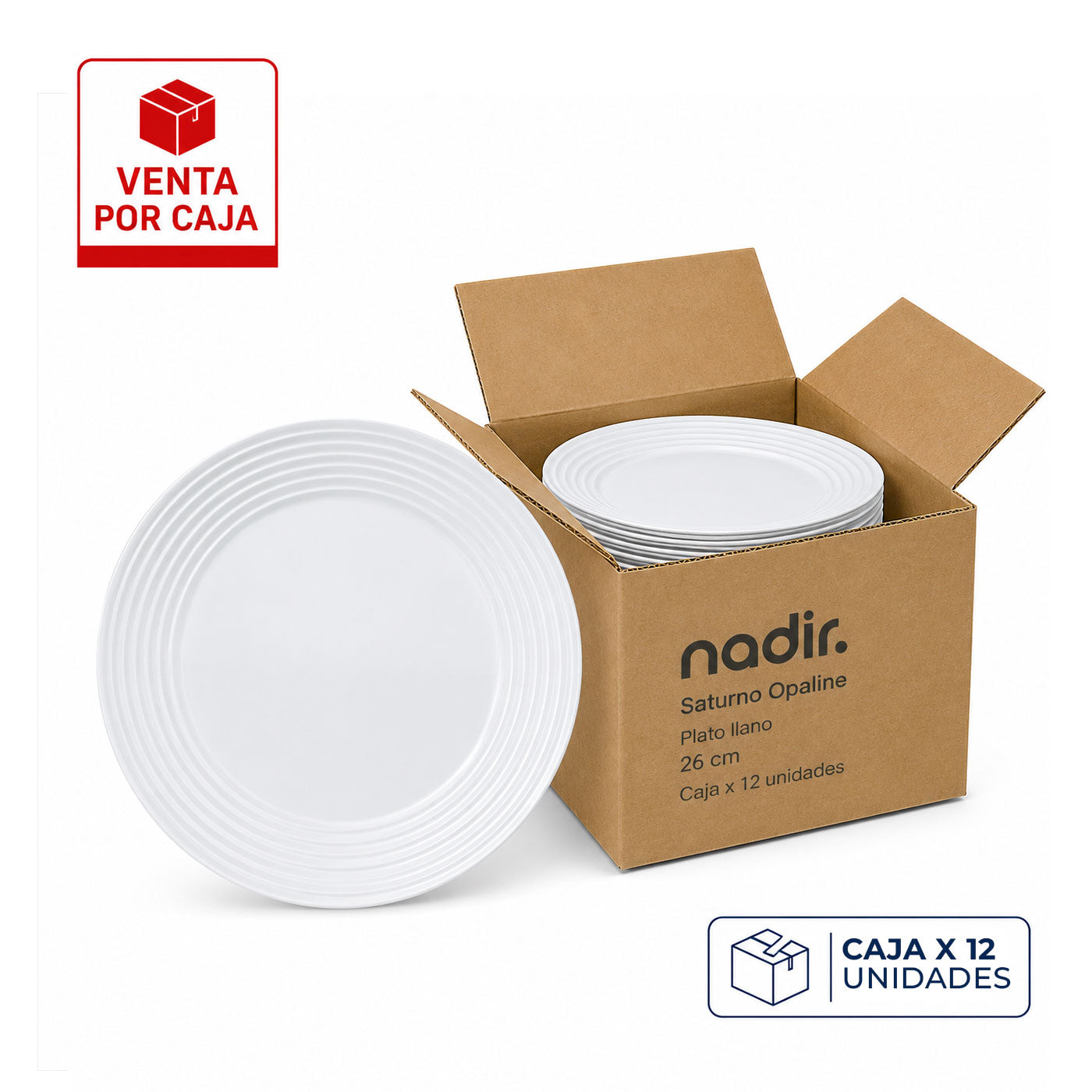 Caja x 12 Platos Pandos 26 cm Saturno Opaline / Nadir - imagen 1