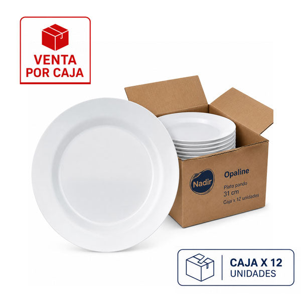 Caja x 12 Platos Pandos 31 cm Menú Opaline / Nadir - imagen 1