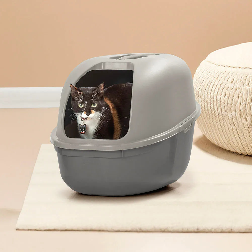 Arenero para Gato Gris / Rimax - imagen 1