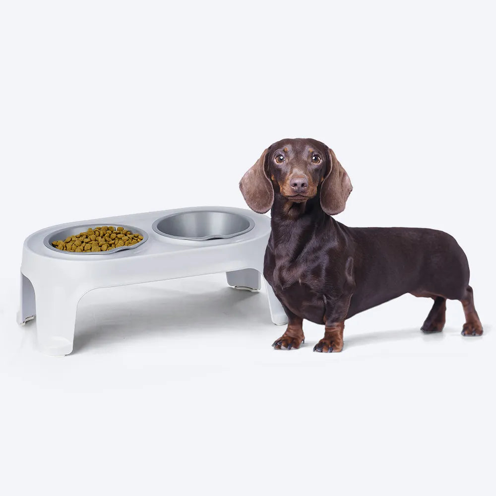 Comedero Elevado para Perro Pequeño Gris Hielo / Rimax - imagen 1