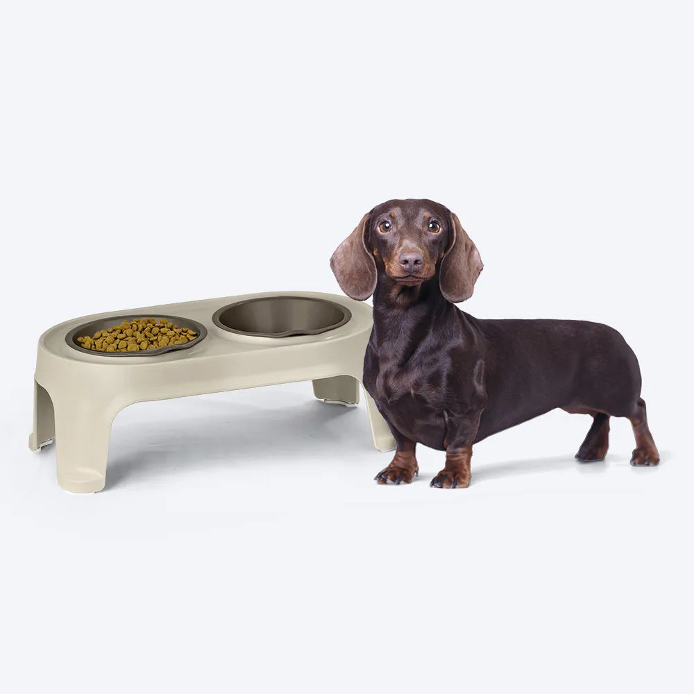 Comedero Elevado para Perro Pequeño Taupe / Rimax - imagen 1