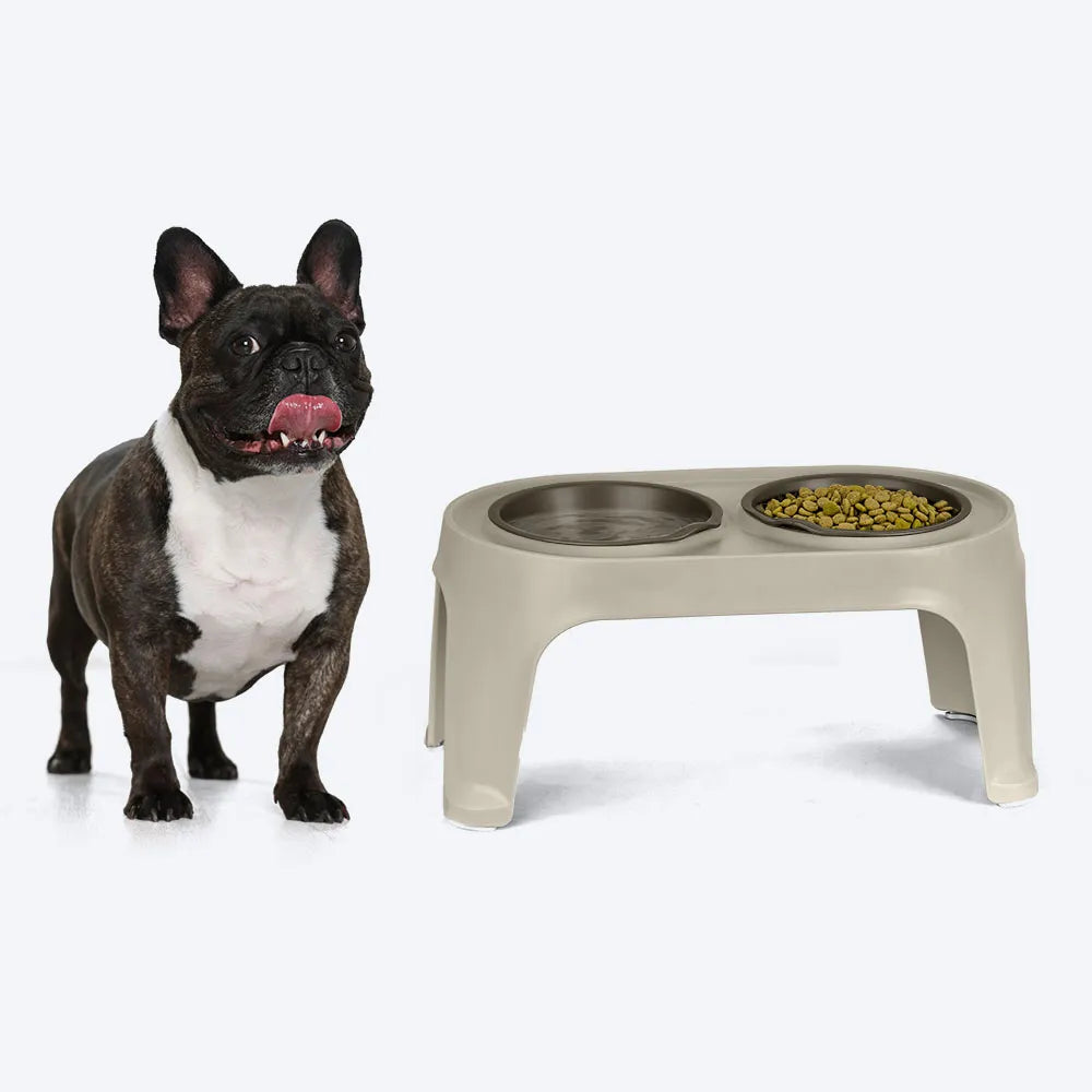 Comedero Elevado para Perro Mediano Taupe / Rimax - imagen 1