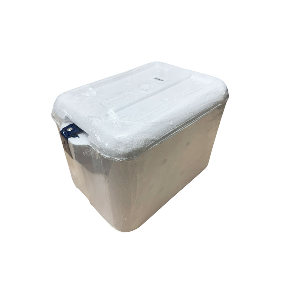 Termo Nevera de Icopor 7 Litros / Moldex - imagen 1