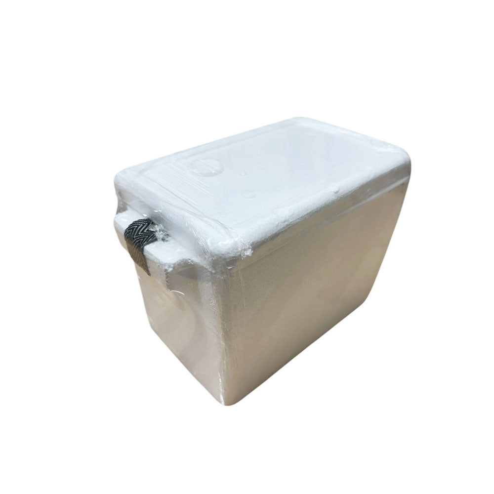 Termo Nevera de Icopor 3 Litros / Moldex - imagen 1