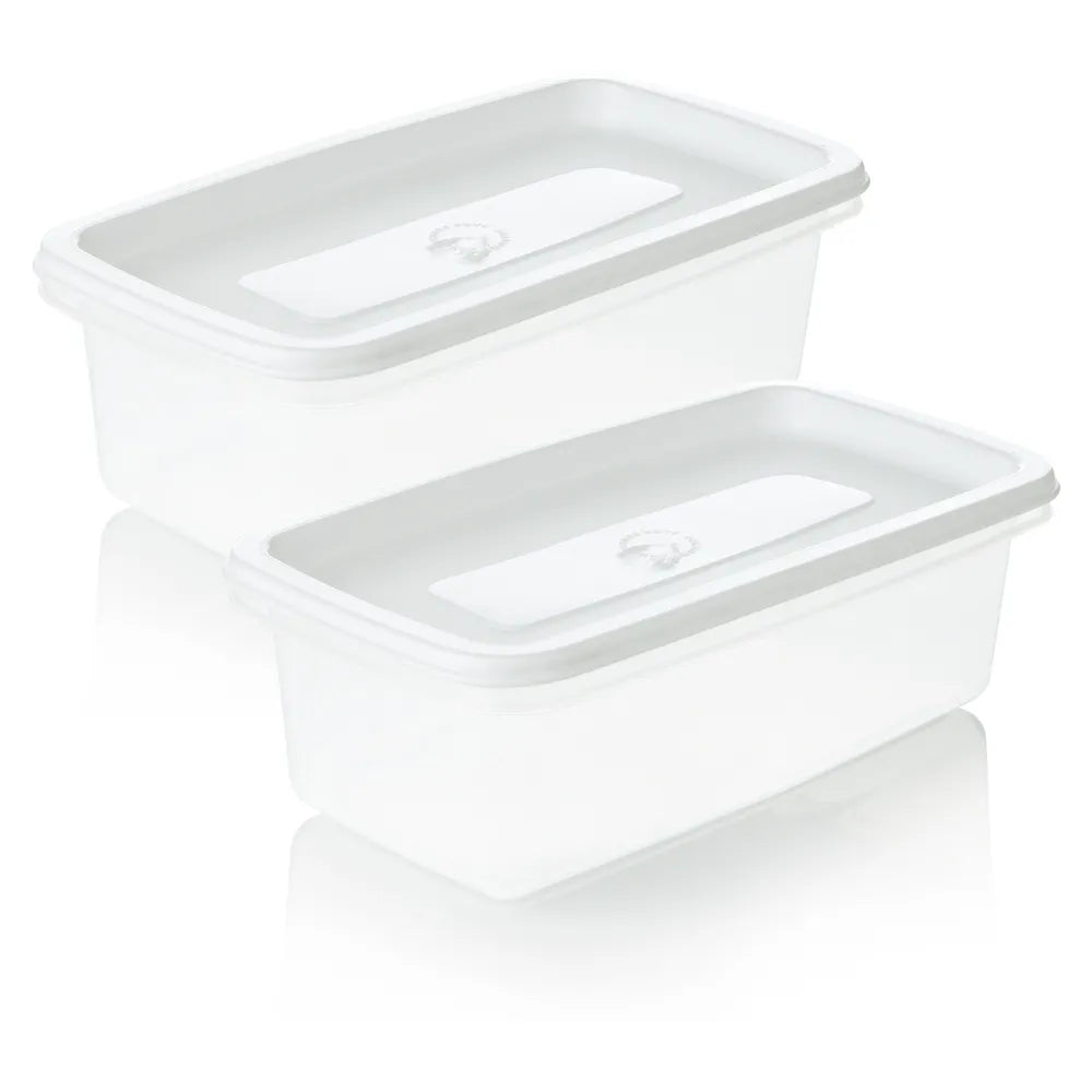 Set x 2 Recipientes Congelación Rectangular Plus 0.9 Litros / Estra - imagen 1