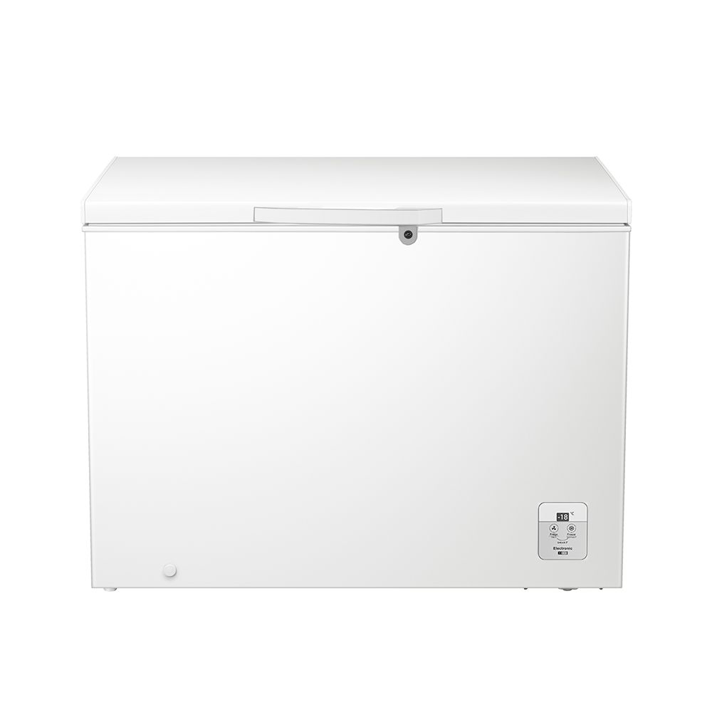 Congelador Horizontal 300L HISENSE BD300 - imagen 1
