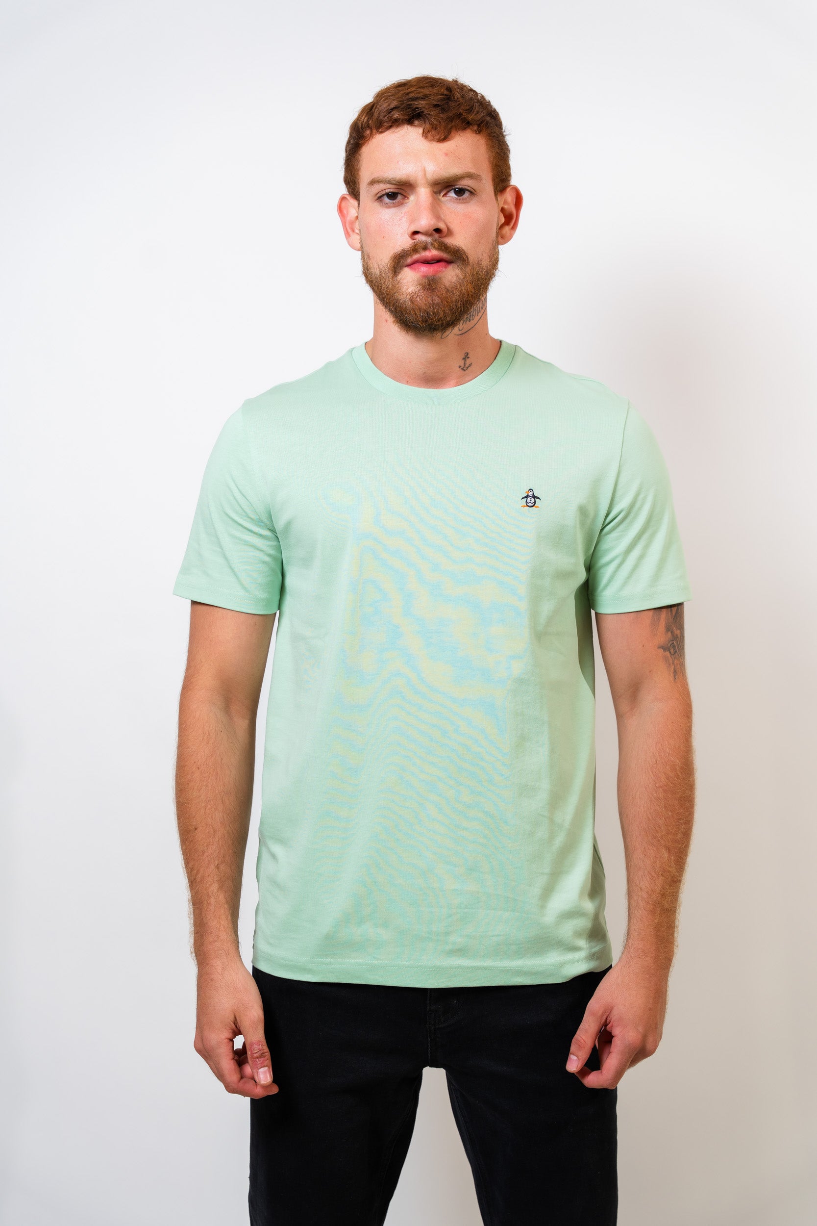 Camiseta Verde Básica Hombre Penguin - imagen 1