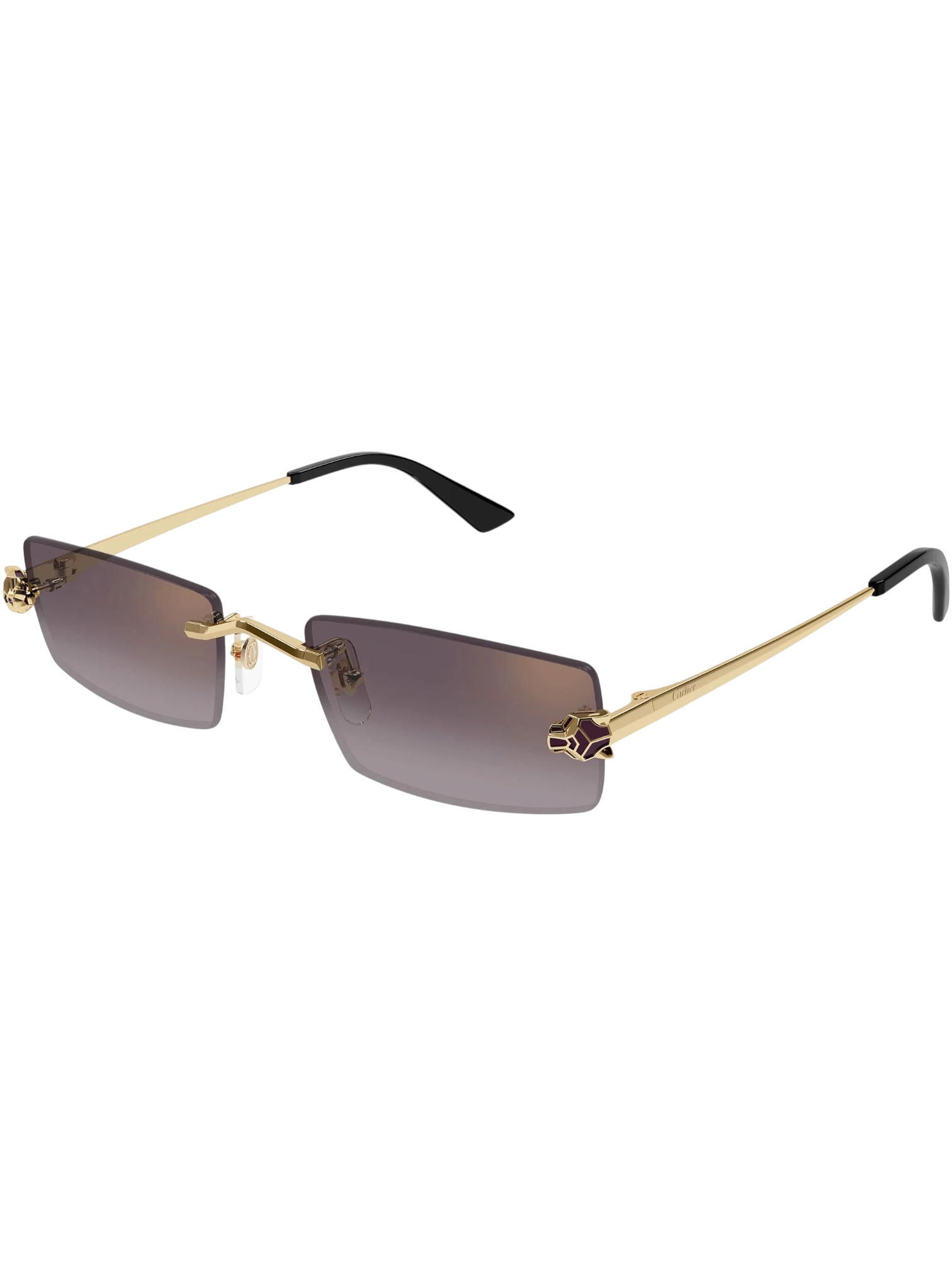 Gafas De Sol Unisex Cartier CT0598S - imagen 1